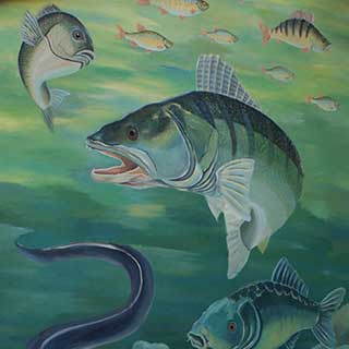 Ryby na malb na zdi v prodejn rybskch poteb v Kravn Hrobice